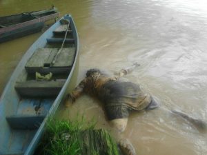BEAKING NEWS : Mayat Mr X Mengapung Di Sungai Tembesi
