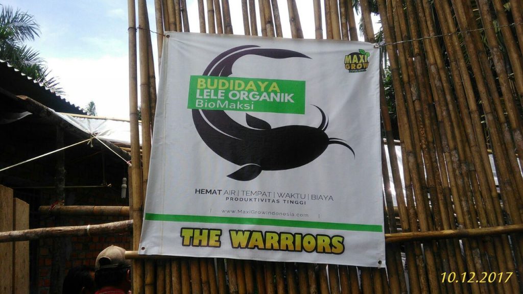 Budi Daya Lele Organik Biomaksi