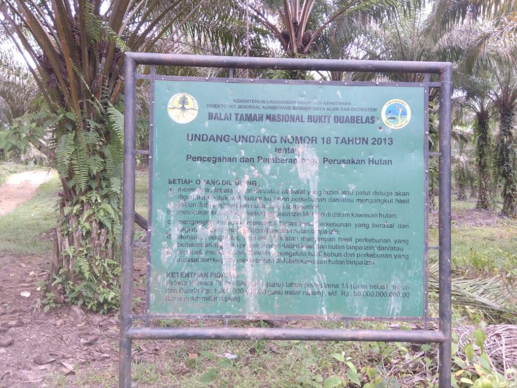 Taman Nasional Bukit Dua Belas, Beralih Menjadi Perkebunan Sawit