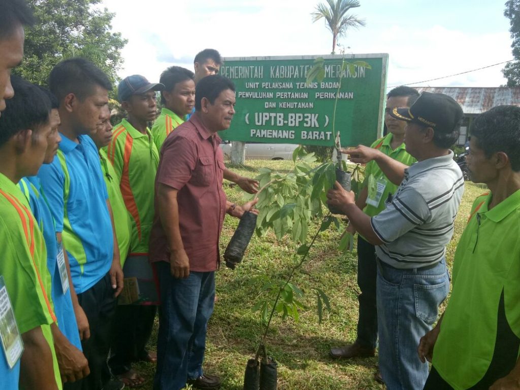 Balai Pelatihan Pertanian Jambi adakan Diklat Teknis Tematik Karet di Kabupaten Merangin