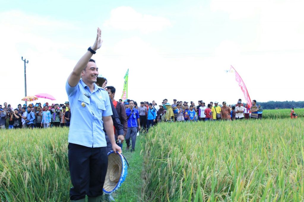 Zola : Pemerintah Terus Berupaya Meningkatkan NTP