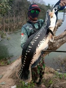 SFC Geruduk Spotd di Air Hitam