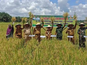 Desa Pematang Kabau Gelar Panen Raya Padi Sawah