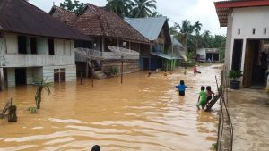 Akibat Tingginya Curah Hujan, Banjir Menggenangi Desa Pulau Pandan 