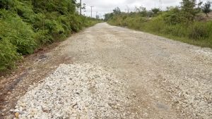 Timbunan Jalan Menuju Danau Serdang Ancam Keselamatan Pengendara