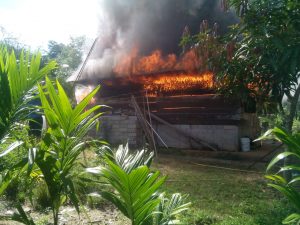 Ditinggal Kekebun, Rumah Warga Muara Cuban di Lalap Sijago Merah