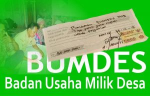 Dana BUMDes di Pinjam Kades, Kegiatan Budidaya Ikan Gagal Total