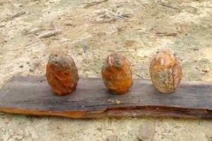 Warga Bajubang Temukan Tiga Granat Nanas Sisa Perang
