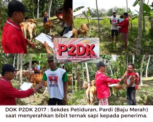 Tudingan Sekdes dan Ketua PTPKD P2DK Petiduran di Bantah Oleh Bendes