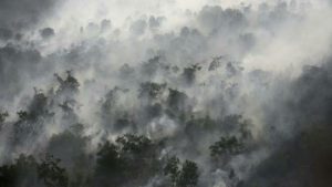 Warga Resah, Kabut Asap Cemari Udara