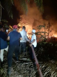 2 Ha Kebun Warga Pelawan Jaya Ludes Dilalap Api
