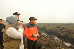 Satu Hari Pasca Pimpin Rapat Terpadu, Fachrori Tinjau Langsung Kebakaran Lahan di Muaro Jambi