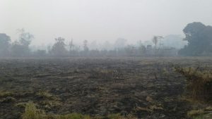 Kabut Asap Muratara Perlu Perhatian Serius