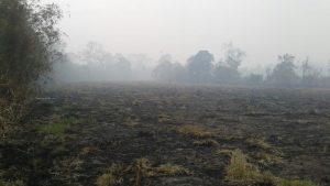 Kabut Asap Semakin Menebal