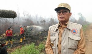 Fachrori Berterima Kasih BNPB Bantu Atasi Kebakaran Hutan dan Lahan Jambi