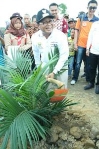Dorong Peningkatan Sektor Perkebunan, Fachrori Bantu Peremajaan Sawit Petani Jambi