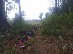 Hutan Desa Dirambah, Warga Desa Durian Rambun Lakukan Sweeping