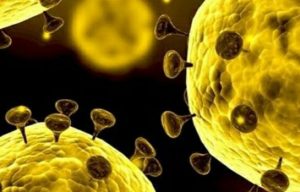 Satu Warga Jambi Positif Terkena  Virus Corona (Covid-19).