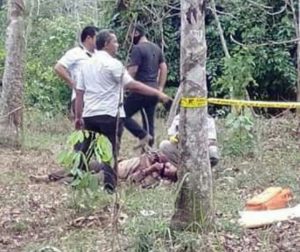 Mengalami Luka Tusukan Warga Desa Pelawan Jaya Ditemukan Tewas Tak Bernyawa