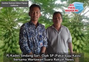 Desa Sindang Sari Budidayakan Kates California.