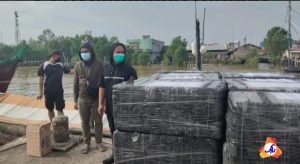 Polres Tanjabbar Gagalkan Penyeludupan Baby Lobster