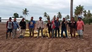 Teknologi “Irigasi Tetes” Pemicu Munculnya Petani Milenial Di Sikka Meningkat