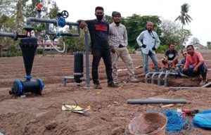 Moeda Tani Farm di Sikka Menerapkan Teknologi Smartfarming Drip Irigation System Dilahan Hortikultura