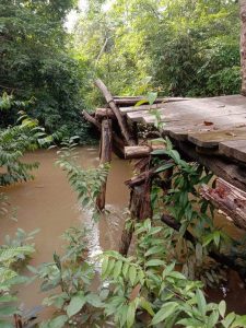 Melihat Kondisi Jembatan Kayu di Dusun Terusan