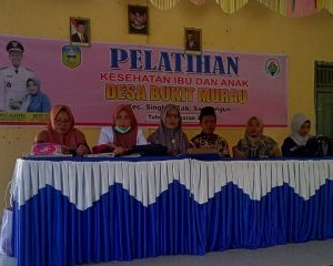Pemdes Bukit Murau Adakan Giat Pelatihan Kesehatan Ibu dan Anak