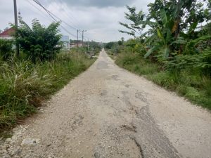 Warga Berharap Jalan Poros Arah Dusun II Desa Pasar di Aspal