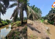Diduga PT IKU langgar Keppres, Dinas LH Kabupaten Batang Hari Belum ada Tindakan