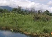 Heboh Tanah Ukuran Raksasa Hanyut di Danau Kerinci Bikin Warga Cemas