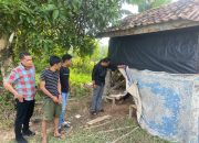 Bawa Narkoba, Warga Desa Pasar Pelawan Diamankan Sat Resnarkoba Polres Sarolangun