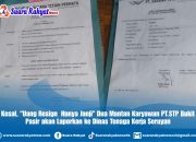 Kesal “Uang Resign Hanya Janji” Dua Mantan Karyawan PT.STP Bukit Pasir Akan Laporkan ke Dinas Tenaga Kerja