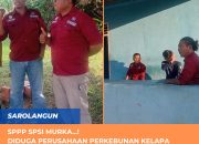 SPPP SPSI MURKA.. Diduga Perusahaan Perkebunan Kelapa Sawit Melakukan Perbudakan