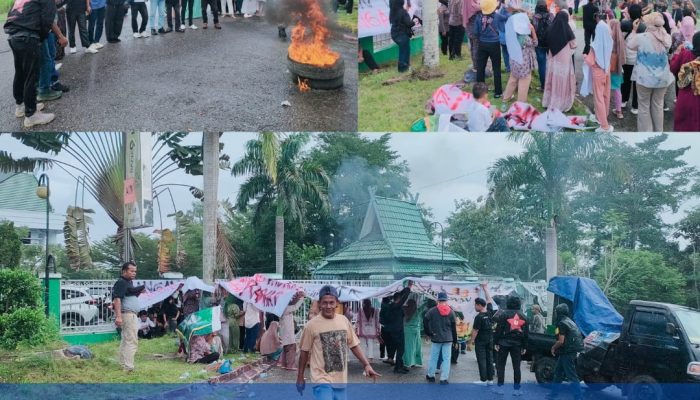 Hujan-Hujanan Demi Masa Depan Anak, Warga Pelawan Jaya Menjerit : PEMERINTAH DINILAI TUTUP MATA TERHADAP POLEMIK PT SMM